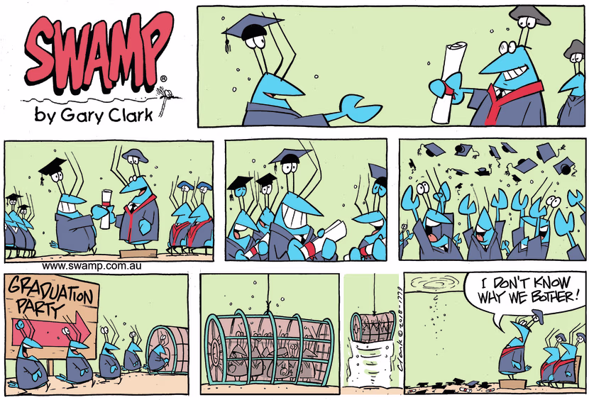 The crayfish are celebrating their graduations but something happens for the Dean of College to wonder why they bother. Swamp Cartoon - Celebrating Their GraduationsMay 5, 2024